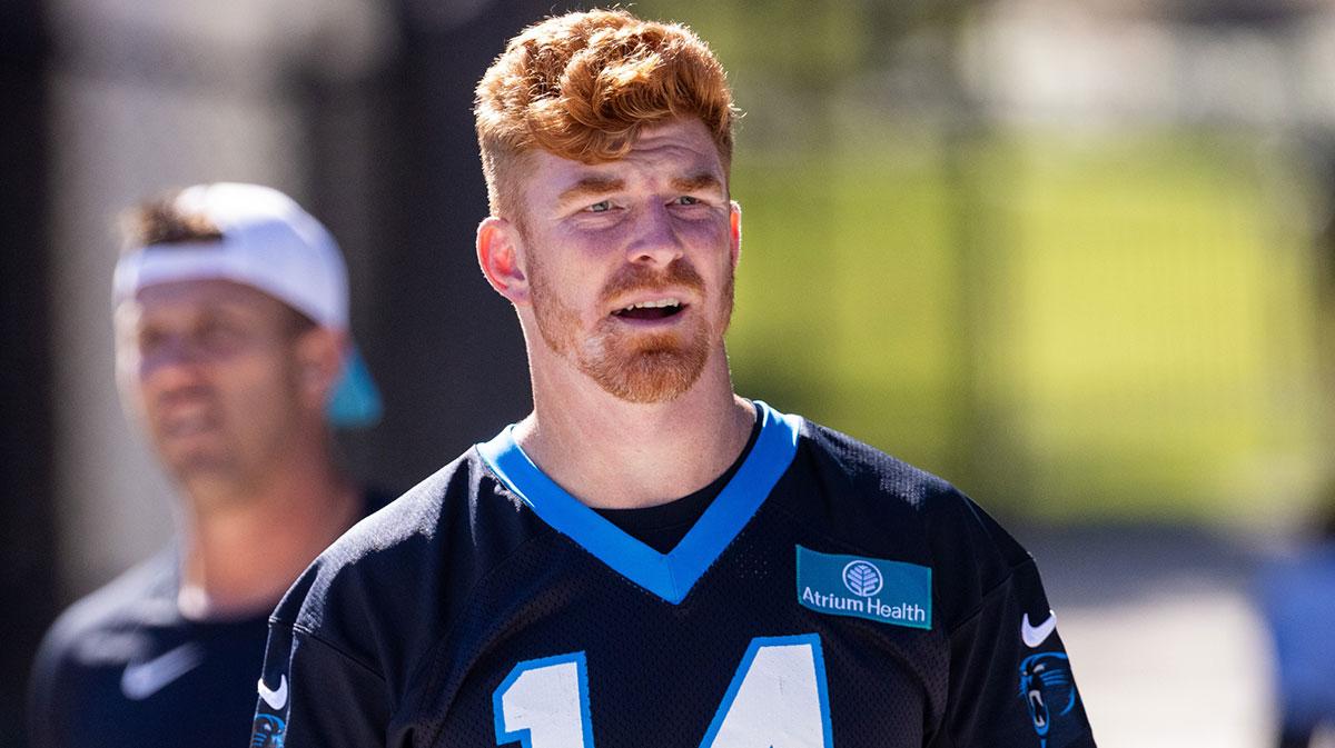 Panthers QB Andy Dalton exits vs. Texans with elbow injury_thumbnail